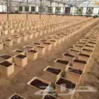 زراعة مائية