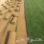 ثيل درجة أولى سي 2000