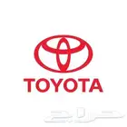 Hyundai Elantra Accent Mazda Toyota Echo