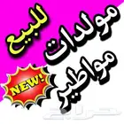 مواطير و مولدات جديدة للبيع ضمان صيانة قطع غيار