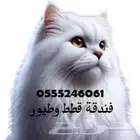 فندقة قطط وطيور 6061 24 0555 شاهد تقييم الزبائن