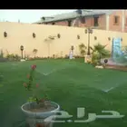 ثيل طبيعي ياباني فرنسي c2000انتورو أمريكي تركيب تجهيز ملاعب