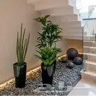 تنسيق حدائق