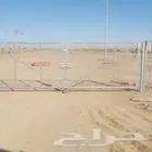 شبوك