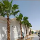القصيم