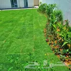 زراعه وتنسيق الحدائق