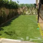 ثيل طبيعي C2000 وثيل ياباني