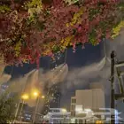 ضباب رذاذ