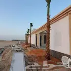 ابوعامر ألماربي لتوريد النخل