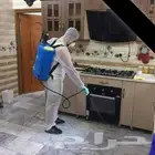 افضل شركه فرش المبيدات الحشريه مع الضمان