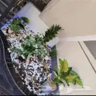 زراعه الورد الطبيعى والتيل الطبيعى