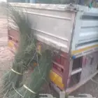 مرخ على كيفك اللي يبغى كميه يدق علي