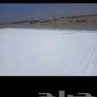 القنفذة