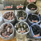 شبكات الري رذاذ