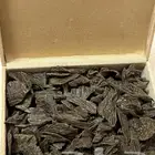 عود كلمنتان الازرق درجة اولى