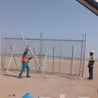 شبك ونخيل عربي وواشنطني