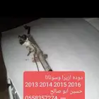 كراسي مكينه هونداي ازيرا 2014 2020 دوده دركسون ازيرا 2011 16