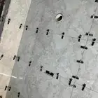 معلم سراميك وبرسلان
