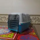 قفص