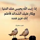 مدرس خصوصي تتدريس صفوف أولية ومتوسطة رياضيات ولغتي وقرآم وعل