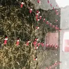 مبلط روخام وسرميك وبراسلين خميس مشيط وأبها