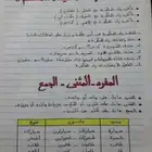 معلم لغة عربية خبرة كبيرة في التعليم جميع المراحل والجامعات