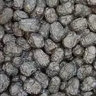 عجوه فاخره مشروطه