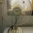 مروحه
