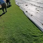 يوجدلديناجميع انواع الثيل الطبيعي بدون غش مباشر من المزراعه