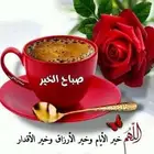 مطلوب سياره في حدود 4 أو 5000 تكون نظيفة و توماتيك