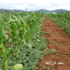 اشرف مزارع وبيوت محمية