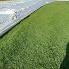 ابومحمد لبيع جميع انواع التيل الطبيعي الممتاز سي