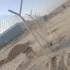 شبوك ونخل