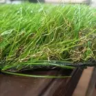 تنسيق الحدائق المنزلية