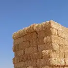 جميع انواع الاعلاف