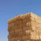 جميع انواع الاعلاف