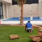 تنسيق الحدائق الطبيعي التيل والنخيل والاشجار