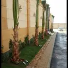تنسيق حدائق بالرياض