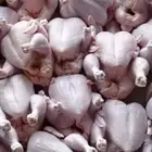 عرض دجاج لحم مجمد