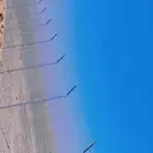 تركيب شبوك وتوريد نخيل