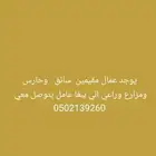 عمال عماله منزليه مزارع وراعي وسائق