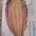 لخم ووجبات حضرميه تجهيز سفري ولخم ني من حضرموت