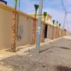 مقاول نخل عربي ونخيل واشنطني أمريكي لزينه