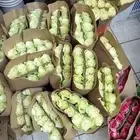 ابراهيم للورد والفل