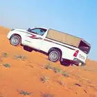 توصيل مشاوير مشوار حلال طيور حمام