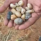 حجر زينه
