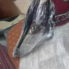 تفصل غطيان شمعات