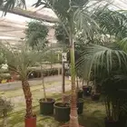 تنسيق حدائق وشبكات ري