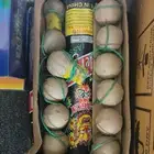 العاب ناريه اسعار جمله