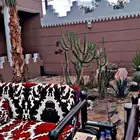 منتجع صيفي بتندحه